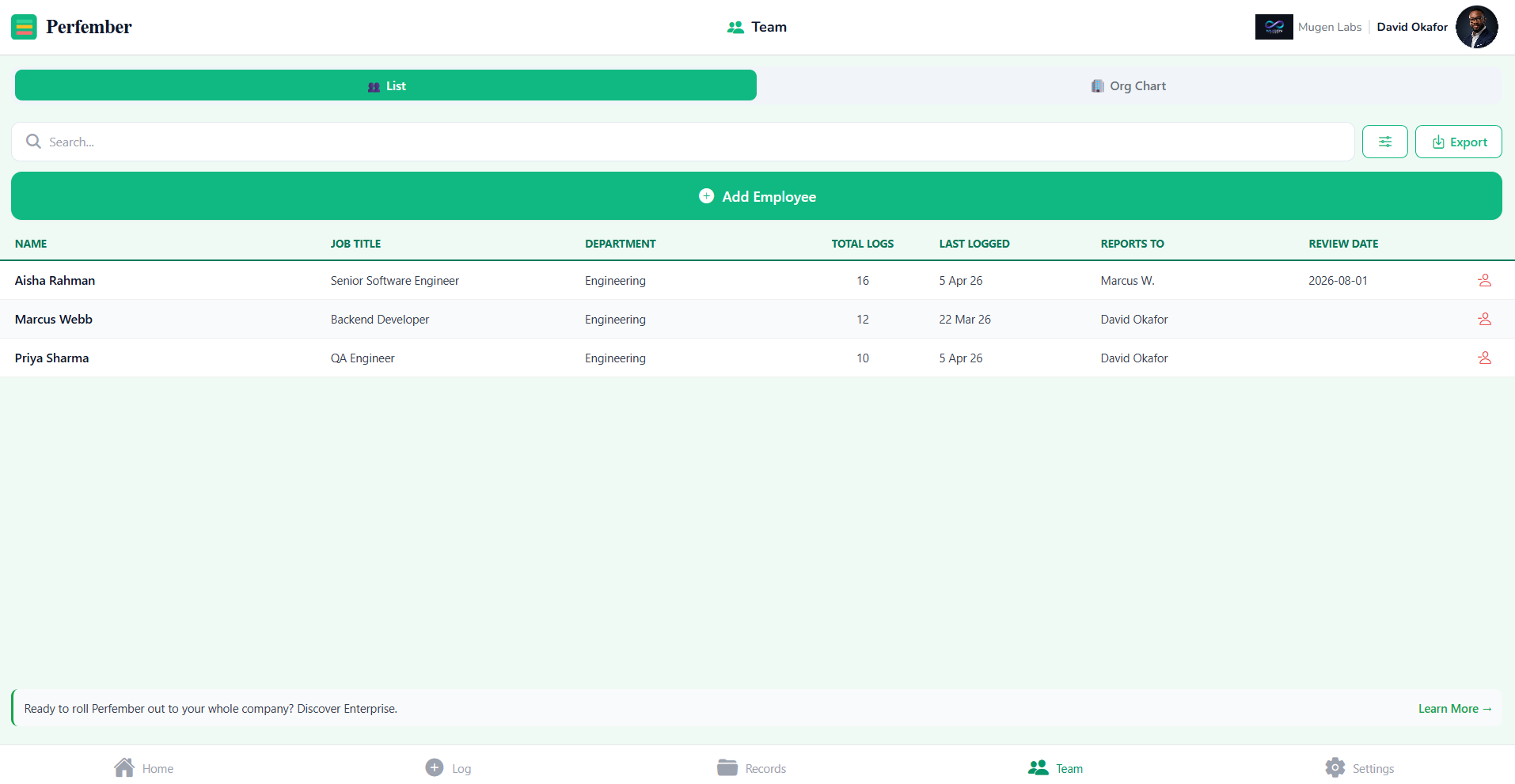 Perfember team insights